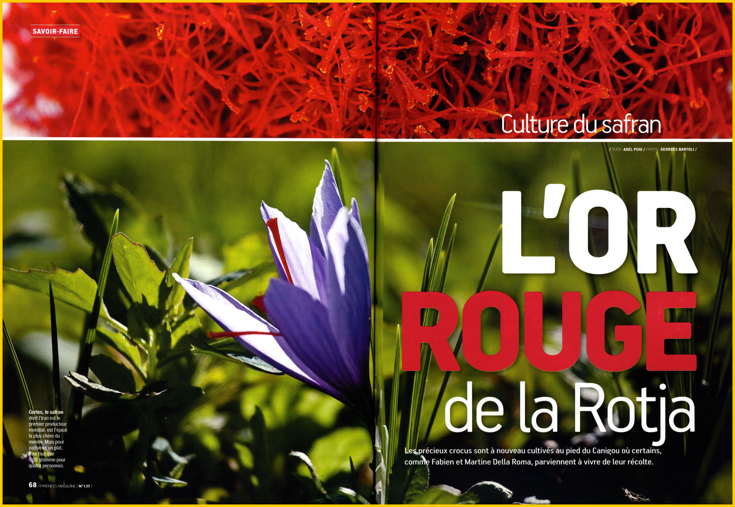 2011-08 Pyrenees Magazine Culture Safran
